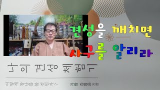 살활동시를 깨치면조사들과의 선문답에 막힘이 없으리라900회 선요 13 제 13강의 [upl. by Mairem]