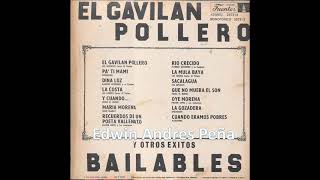 El Gavilan Pollero Y Otros Exitos Bailables LP Completo Discos Fuentes 1974 [upl. by Desirea481]