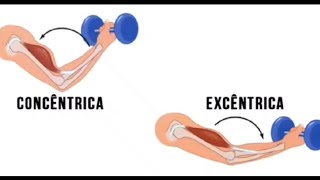 Fase Excêntrica VS Concêntrica l Eccentric VS Concentric [upl. by Tutto57]