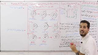 06التركيبالضوئي  المرحلة الكيموضوئية quotجزء2quot آلية عمل النظام الضوئي [upl. by Yerbua708]