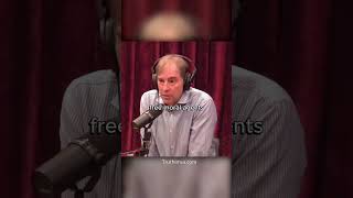 Free Will vs Determinism  Joe Rogan amp Stephen C Meyer [upl. by Schramke]