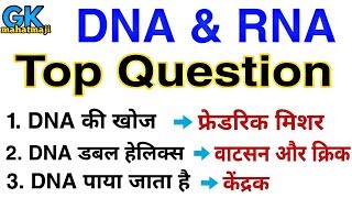 DNA amp RNA Top Question  Biology gk Question  RRB JE SSC [upl. by Enileuqaj]