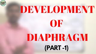 DEVELOPMENT OF DIAPHRAGM PART 1 [upl. by Adnalu]