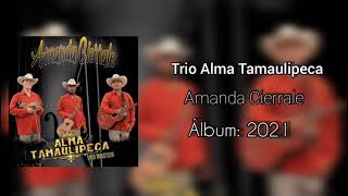 Amanda Cierrale Trio Alma Tamaulipeca [upl. by Adar]