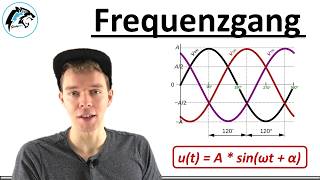 Frequenzgang – Amplitude amp Phasenlage  Regelungstechnik [upl. by Dodge537]