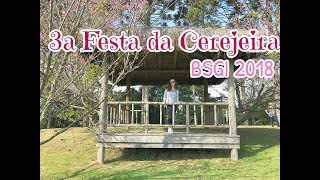 Festa das Cerejeiras BSGI 2018 [upl. by Haig188]