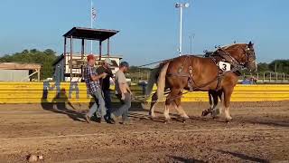 Onekama Horse Pulls 2023 [upl. by Ellennad509]