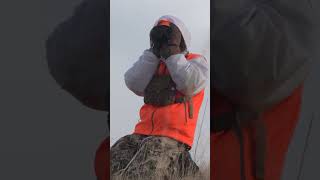 Spot and Stalking a Huge Mule Deer deerhunter deerhunting hunting [upl. by Willard]