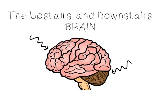 Upstairs Brain Downstairs Brain  SEL Sketches [upl. by Tarttan]