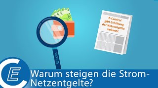 EControl erklärt Warum steigen die Stromnetzentgelte Mit Untertitel [upl. by Celinka]