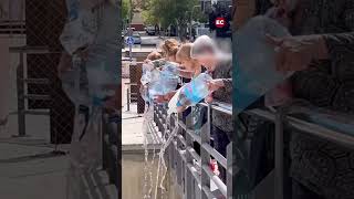 Un grupo de vecinos llena un estanque de Sabadell para salvar a los patos [upl. by Marilee823]