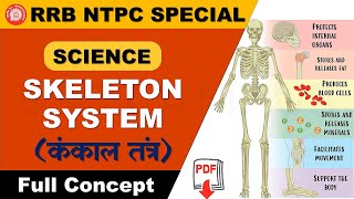 Skeletal System  Human Skeletal System  Bones amp Cartilage  Axial amp Appendicular Skeletonmp4 [upl. by Anne]