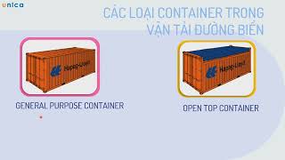 Các loại container trong vận chuyển quốc tế Phần 1 [upl. by Olnek548]