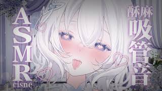 希丝奈Cisne ASMR Vtuber CC❤ASMR ✝搅坏你的脑子✝酥麻吸管音纯享 No Talking  Massage  SPA  Ear Whispering [upl. by Eceinahs224]