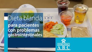 Dieta blanda para pacientes con problemas gastrointestinales [upl. by Blodgett]