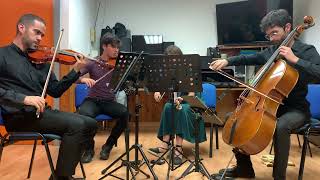 Ravel string quartet 1st mov [upl. by Suedama]