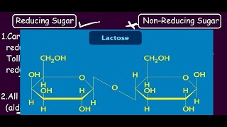 Reducing Vs Non Reducing Sugar  Lactose amp Maltose is a Reducing Sugar Sucrose is not Why [upl. by Nayrbo]