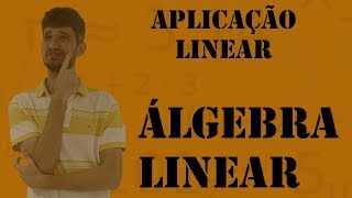 Introdução a Aplicação Linear e Matrizes [upl. by Samuella]