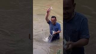 Dapat ikan banyak di lubuk larangan borangdarat [upl. by Jayne437]