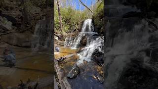 Laurel Falls  Best family hike in Smoky Mountain National Park [upl. by Annaynek438]