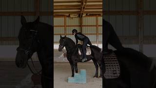 Riding my friesian mare for the first time in a year😍🔥 [upl. by Folly]