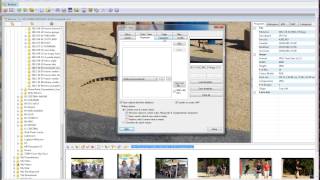 Add photo metadata with XnView [upl. by Everick12]