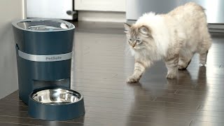 Feed Your Pet from Your Phone  PetSafe® Smart Feeder [upl. by Akahc]