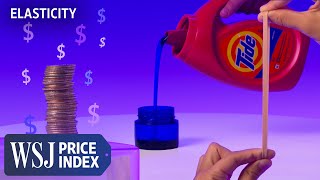 Elasticity The Economic Concept Behind How Companies Price Products  WSJ Price Index [upl. by Ayotnom]