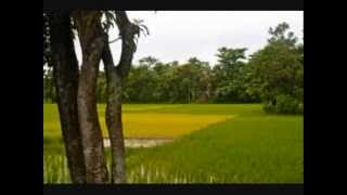 Bangla Desher Gaan Jonmo amar dhonno holo [upl. by Trudey]