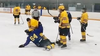 2 BEER LEAGUE HOCKEY FIGHTS IN 1 GAME  HOW DO YOU PLAY WITH 1 REF [upl. by Riva]