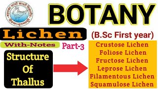 BSC 1st Year BotanyStructure of Thallus in LichensCrustose LichenFructose LichenFolioseLeprose [upl. by Nylecsoj105]