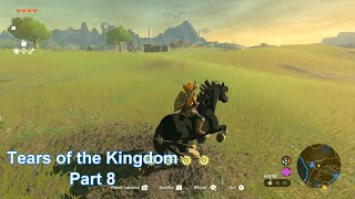 Tears of the Kingdom part 8 Walkthrough [upl. by Gelb41]