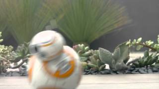 08 SPHERO BB8 BRANDFOLDER VIDEO HD [upl. by Anestassia]