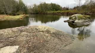 Chemainus River Estuary [upl. by Enyawad436]