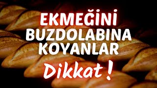 EKMEĞİ BUZDOLABINA KOYMAK ZARARLI MI  EKMEK NASIL SAKLANIR BUZDOLABININ ZARARLARI [upl. by Obla]