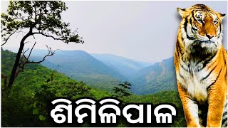 Chahala amp Barehipani Waterfall  SIMILIPAL TIGER RESERVE  Ep3  Desi Odia Vlogs [upl. by Nowed]