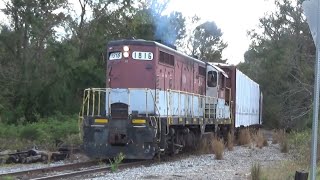 Georgia Southern Railway Shortline in Midville GA 103124 [upl. by Gautious]