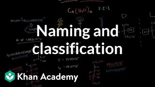 Carbohydrates  naming and classification  Chemical processes  MCAT  Khan Academy [upl. by Htebiram]