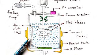 Submerged fermentation process  Fed batch and continuous fermentation  Bio science [upl. by Alroi534]