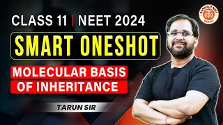 MOLECULAR BASIS OF INHERITANCE CLASS 12 ONE SHOT  NEET 2024  SMART ONE SHOT  BOTANY BY TARUN SIR [upl. by Kaliope]