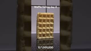 Waffle falls over [upl. by Moises470]