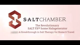 Portable Salt Therapy device The SALT FX® home Halogenerator [upl. by Scheck202]