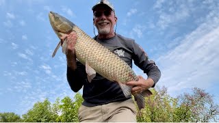 20lb Grass Carp 😎😎😎 [upl. by Noerb]