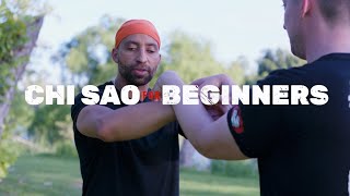 Chi Sao For Wing Chun Beginners [upl. by Nawuj]