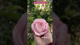 DIY Tissue Rose Flower  Day 33100 of ArtCraft Challenge shorts shortsfeed [upl. by Onavlis]