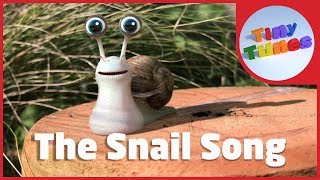 The Snail Song  Snail Facts For Kids  Tiny Tunes [upl. by Conrade381]