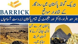 Barrick Gold Corporation Jobs 2024  Barrick Gold Corporation Jobs in Pakistan [upl. by Eirased]