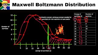 Maxwell Boltzmann Distribution Curve grade 12 [upl. by Laehcim]