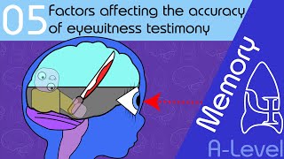 Factors affecting the accuracy of eyewitness testimony AQA ALevel [upl. by Bradstreet198]