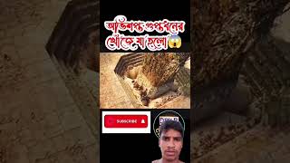 অভিশপ্ত গুপ্তধনের খোঁজে যা হলো random video channel movie explain in Bangla youtubeshorts [upl. by Ansilma]